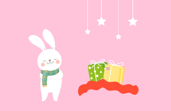 Christmas Rabbit Illustration White Review