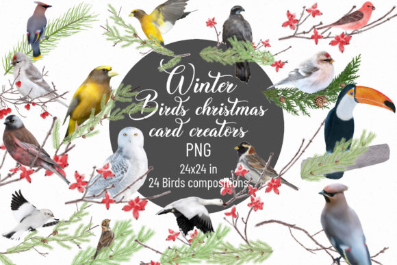 Winter Birds Christmas Card Creators PNG for Editorial Use